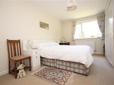 Picture 20